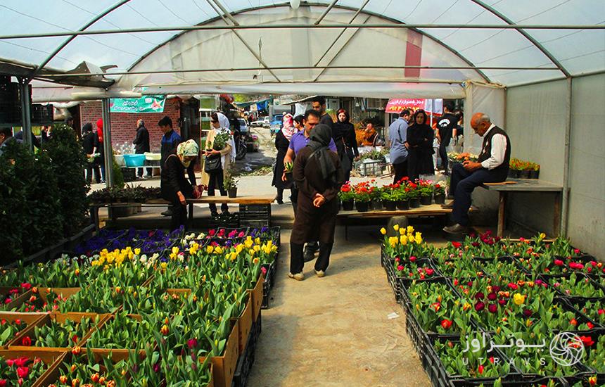 Mahallati Flower Market